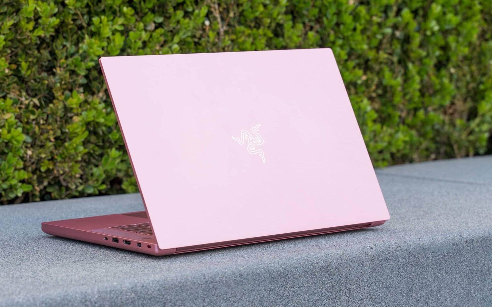 Pink Isnt Just for Princesses The Best Pink Gaming Laptops on the Market