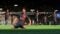 EA SPORTS FC 24 [Game]